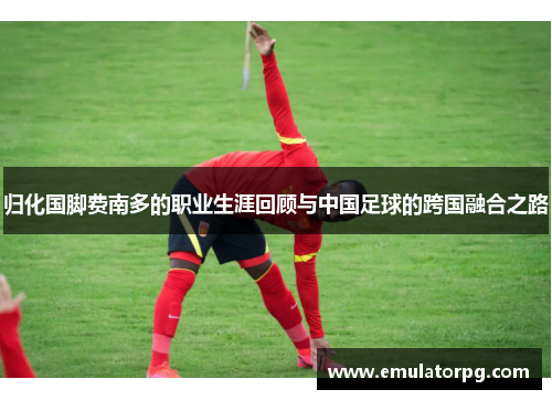 归化国脚费南多的职业生涯回顾与中国足球的跨国融合之路