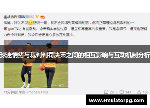 球迷情绪与裁判判罚决策之间的相互影响与互动机制分析
