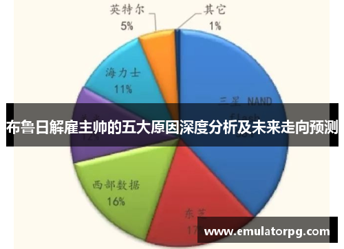 布鲁日解雇主帅的五大原因深度分析及未来走向预测 布鲁日解雇主帅的五大原因深度分析及未来走向预测