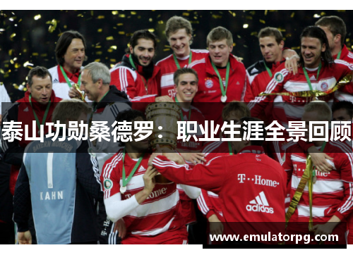 泰山功勋桑德罗：职业生涯全景回顾