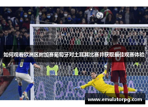 如何观看欧洲区附加赛葡萄牙对土耳其比赛并获取最佳观赛体验