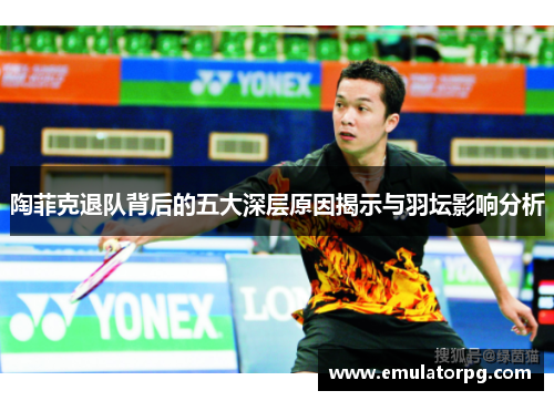 陶菲克退队背后的五大深层原因揭示与羽坛影响分析 陶菲克退队背后的五大深层原因揭示与羽坛影响分析