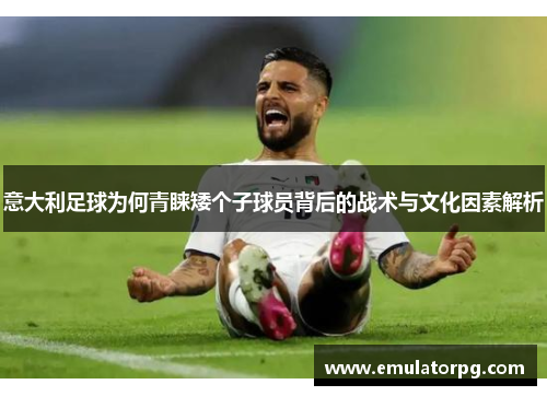 意大利足球为何青睐矮个子球员背后的战术与文化因素解析 意大利足球为何青睐矮个子球员背后的战术与文化因素解析